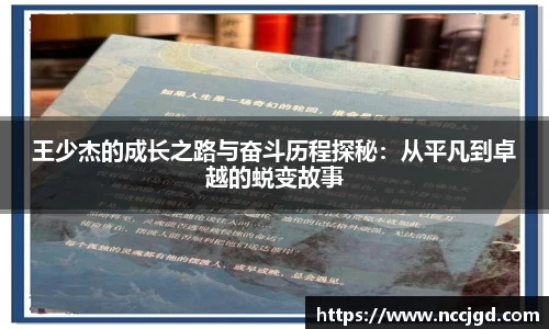 王少杰的成长之路与奋斗历程探秘：从平凡到卓越的蜕变故事